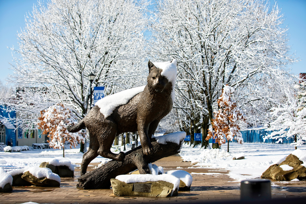 photo of the Bowman cat statue covered in snow