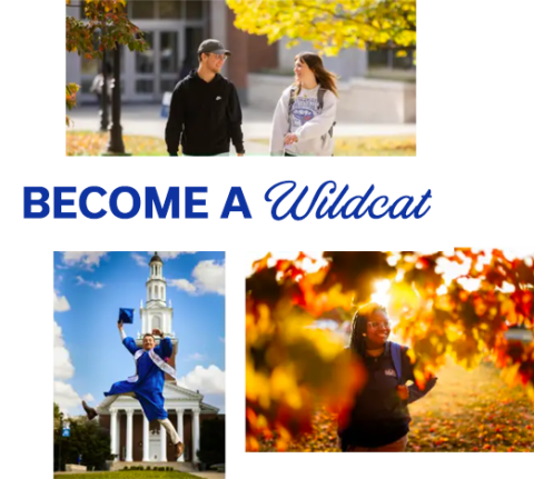 Become a Wildcat - Image Collage