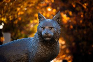 The Bowman statue stands in front of a field of autumn trees of orange and yellow leaves.