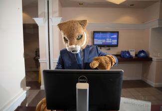 Photo of Wildcat at a computer