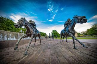 Horses in Thoroughbred Park