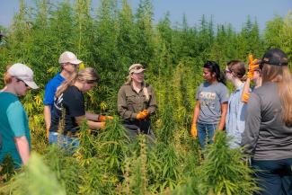 Students and professor on a field experience