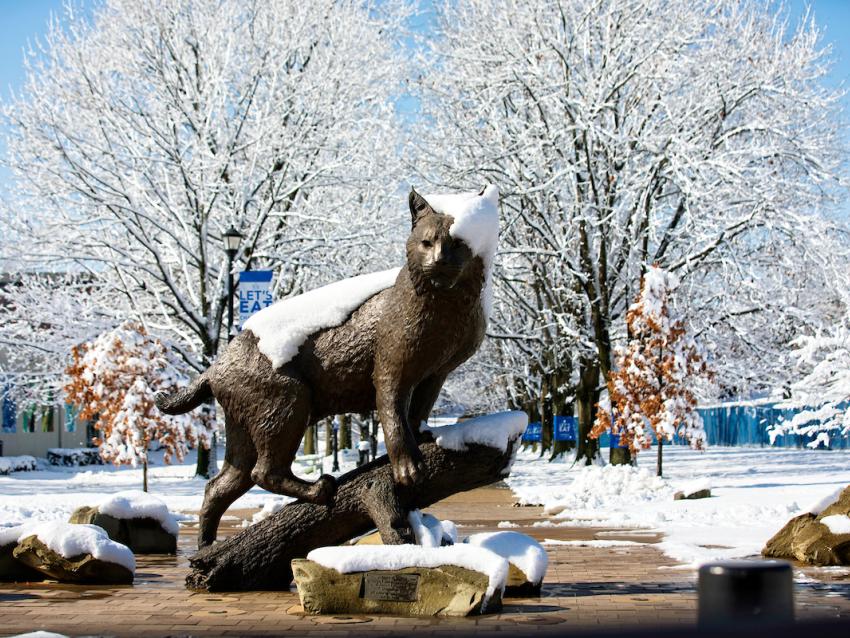 photo of the Bowman cat statue covered in snow