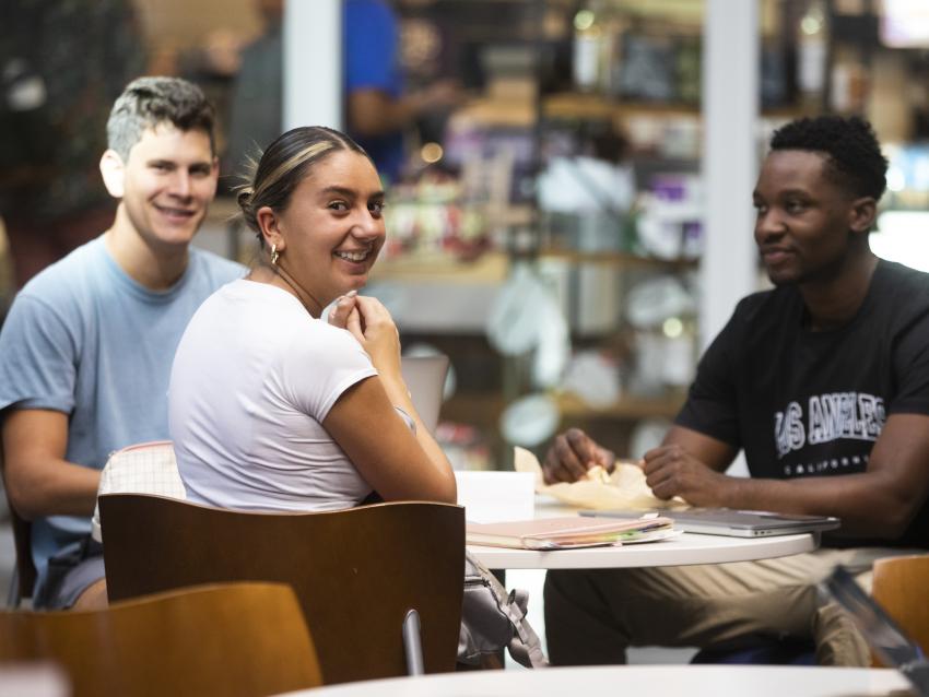 Students studying at table in library