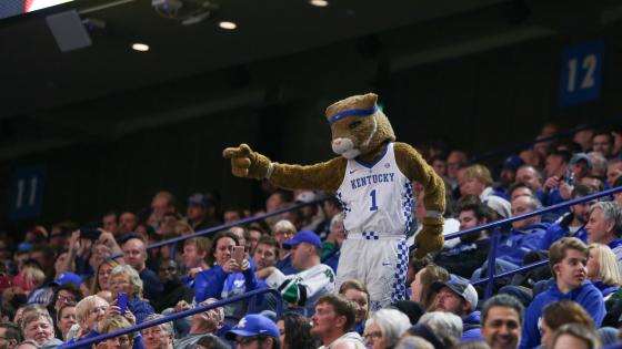 Wildcat at a basketball game